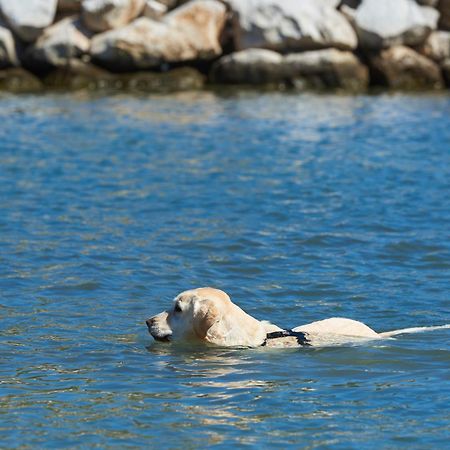 Camping Stobrec Split Bagian luar foto